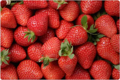 Produktbild von Küchenmatte 140x210 cm Vinylmatte Bodenmatte Dekoration - frische Erdbeeren