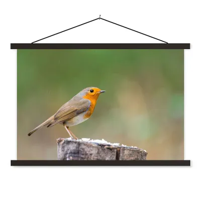 Produktbild von MuchoWow® Textilposter Tiere - Vogel - Rotkehlchen 150x100 cm mit schwarzem Rahmen - Schlafzimmer