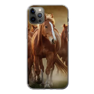 Produktbild von MuchoWow® Handyhülle Schutzhülle Hülle für iPhone 12 Pro Max Pferde - Licht - Natur Silikon Softcase Handy Hülle - Hartschale