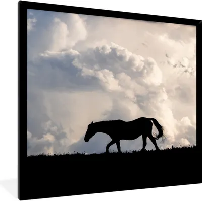 Produktbild von MuchoWow® Gerahmtes Poster Pferd - Wolken - Schatten 40x40 cm - Poster mit Schwarzem Bilderrahmen Wandposter Rahmen Foto Bilder - Mit Rahmen - Wanddekoration Schlafzimmer