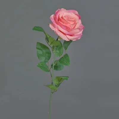 Produktbild von artplants.de Kunstblume Rose PEZOS, pink, 60cm - Kunstrose/Seidenrose