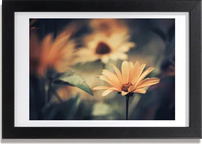 Produktbild von Bild 30x20 MDF-Rahmen, Wandkunst Frühlingsblume