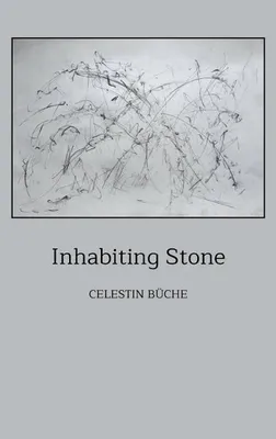 Obrázek produktu pro Inhabiting Stone