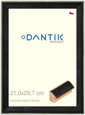 Zdjęcie produktu dla Ramka DANTIK 21x29,7 | INCLINATA kolor czarny (szkło przezroczyste)