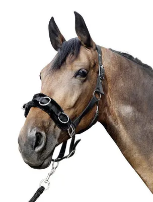 Produktbild von HKM Kappzaum aus Nylon mit Plüschpolsterung , Farbe:schwarz, Größe:Pony