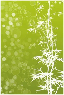 Produktbild von Wallario Premium Glasbild, freischwebende Optik, kräftige Farben, Größe 90 x 60 cm Motiv Bambusmuster grün-weiß