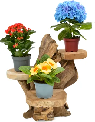 Produktbild von Teak Blumenständer Blumenpodest Pflanzentreppe Ständer Blumenhocker Podest Regal