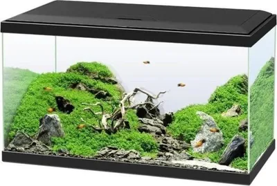 Produktbild von Aquarium Set Ciano inkl. Abdeckung LED Beleuchtung Filtersystem inklusive Umwälzpumpe Heizer/Heizstab Innenfilter, schwarz, ca. 60 x 30 x 33,5 cm ca. 58 L (ohne Unterschrank)