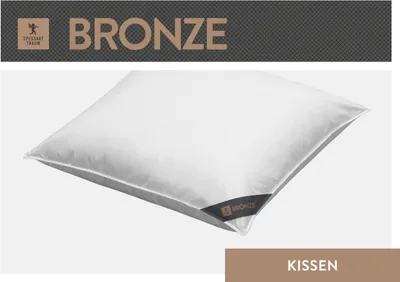 Produktbild von Spessarttraum 3-Kammerkissen Bronze Füllung: 90% Daunen/10% Federn (Außen) 100% Federn (Innen) Bezug: 100% Baumwolle Größe 80 x 80 cm