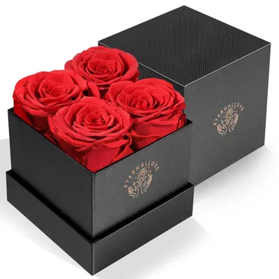 Produktbild von Rosenbox mit Konservierten Blumen 4 Rote Rosen
