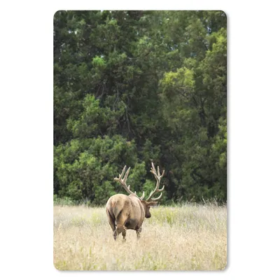 Produktbild von MuchoWow® Mauspad Mousepad Hirsche - Gras - Wald 18x27 cm - Mousepads - Maus Mat - Pad - Mausunterlage