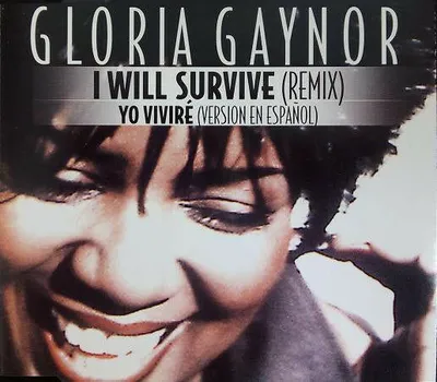 Produktbild von I Will Survive (Remix)