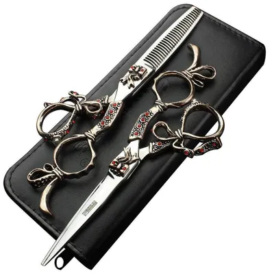 Image de Ensemble de ciseaux de coiffure, 6 pouces, ergonomiques, en acier inoxydable, 2 pièces