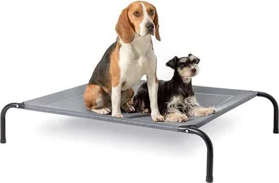 Produktbild von Famanu Hundebett erhöht für kleine Hunde - Grau, geeignet für drinnen und draußen, Camping - Größe S: 87 x 63 cm, Höhe: 20 cm