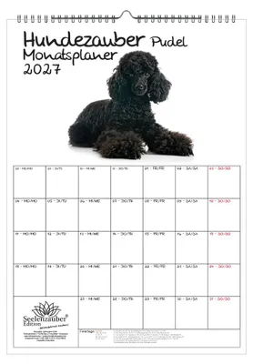 Produktbild von Pudelzauber Planer DIN A3 Kalender für 2027 Welpen und Hunde - Seelenzauber