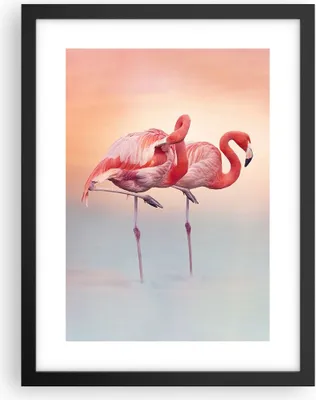 Produktbild von Gerahmtes Poster - Schwarzer Rahmen - Flamingos Exotik Vögel - 30x40 cm - Wand Bild - Wanddeko - Wandbilder - Kunstposter - Wandposter - Bilderrahmen - Bilder - Kunstdruck - P2BPA30x40-5044
