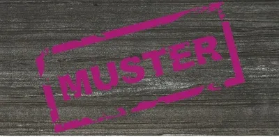 Produktbild von Muster zu Schieferplatte Monsoon Black in halber DIN A 4 Größe