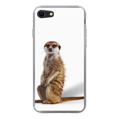 Produktbild von MuchoWow® Handyhülle Schutzhülle Hülle für iPhone SE 2020 Erdmännchen - Tiere - Fell Silikon Softcase Handy Hülle - Kartenbesitzer
