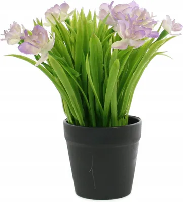 Zdjęcie produktu dla Sztuczne Kwiaty W Doniczce 25Cm Różne Kolory