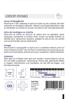 Produktbild von Liebstock | Liebstöckelsamen von Hortitops