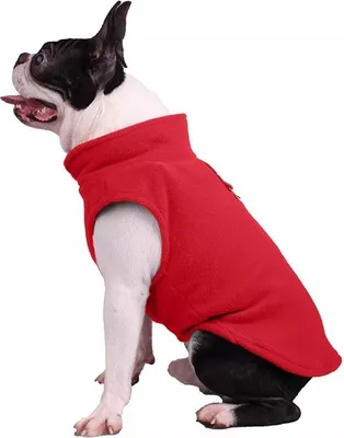 Produktbild von Fleece Hundesweatshirt mit Leine - Rot S