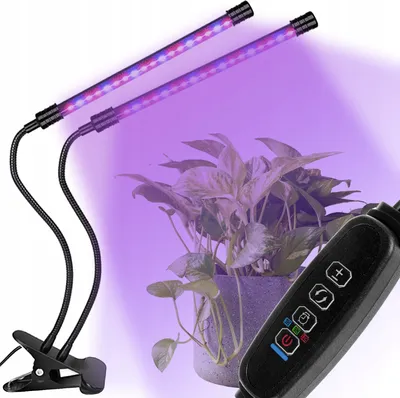 A plant grow light with two flexible arms is positioned above a potted plant, with the lights emitting a purple glow.