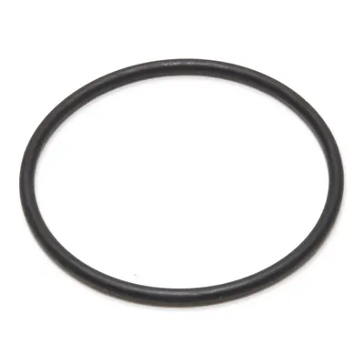 Immagine prodotto di Guarnizione di ricambio per testina UV-C LAGUNA Pressure-Flo 1 pz