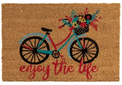Immagine prodotto di Tappetino da interno/esterno HowHomely, 60x40 cm, per ingresso, antiscivolo, in fibra di cocco, disponibile in vari colori, ideale per raccogliere lo sporco