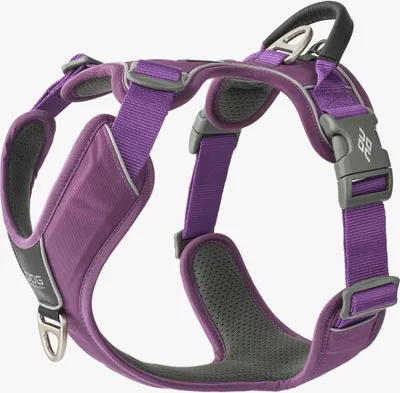 Produktbild von Dog Copenhagen V3 Comfort Walk Pro Harness Purple Passion S