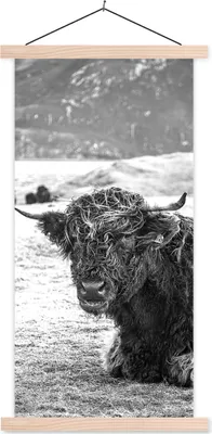 Produktbild von MuchoWow® Textilposter Schottisches Hochlandrind - Berg - Tiere 60x120 cm mit holzfarbenen Rahmen - Holz