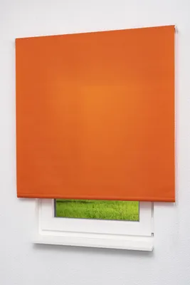 Produktbild von Lysel Outlet - Basisrollo Tageslicht Rotorange, (B x H) 102.50cm x 175cm in orange/rotorange