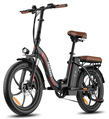 Image de Vélo Électrique FAFREES F20 Pro - Moteur 250W Batterie 36V20Ah 20'' Pneus Freins À Disque Mécaniques - Noir