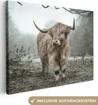 Zdjęcie produktu dla MuchoWow® - Obraz na płótnie - Szkocki góral - Natura - Jesień - Zwierzęta - Dzika przyroda - Las, fototapeta, dekoracja ścienna obrazy do salonu, 40x30cm