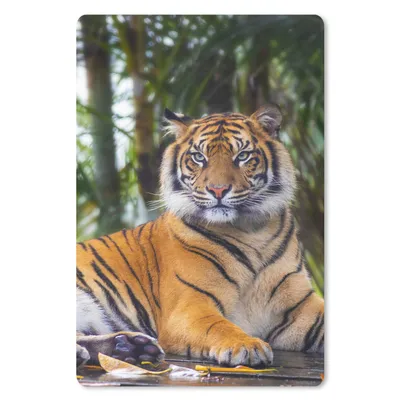 Produktbild von MuchoWow® Mauspad Mousepad Tiger - Tiere - Wald - Dschungel 18x27 cm - Mousepads - Maus Mat - Pad - Mausunterlage