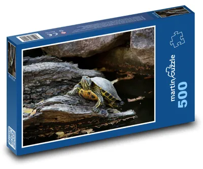 Produktbild von martinpuzzle - Puzzle 500 Teile - Schildkröte