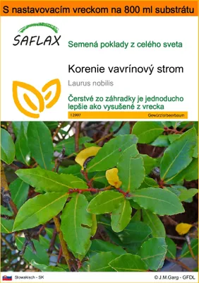 Obrázok produktu pre SAFLAX Garden in the bag - korenie vavrínový strom - Laurus nobilis - 6 Semená - S pestovateľským substrátom v praktickom samostaviteľnom vrecku