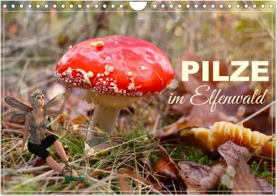 Produktbild von Pilze im Elfenwald (Wandkalender 2025 DIN A4 quer), CALVENDO Monatskalender
