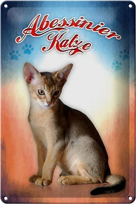Produktbild von Blechschild Katze 20x30cm Abessinier Katze Wanddeko