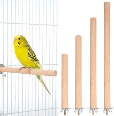 Imagen del producto de Accesorios coloridos y estimulantes para juguetes de aves, ideales para periquitos