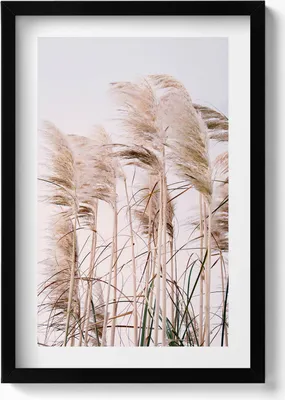 Produktbild von Romantische Landschaft mit Gras im Boho-Stil– Wandbild mit Rahmen – Gerahmtes Bild  – Wanddekoration – 40x60 cm –  Schwarz