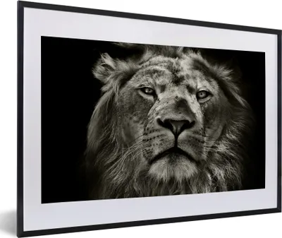 Produktbild von MuchoWow® Gerahmtes Poster Löwe - Tiere - Porträt - Wildtiere - Schwarz und weiß 60x40 cm - Poster mit Schwarzem Bilderrahmen Wandposter Rahmen Foto Bilder - Schlafzimmer - Plakat in Rahmen - Drucken