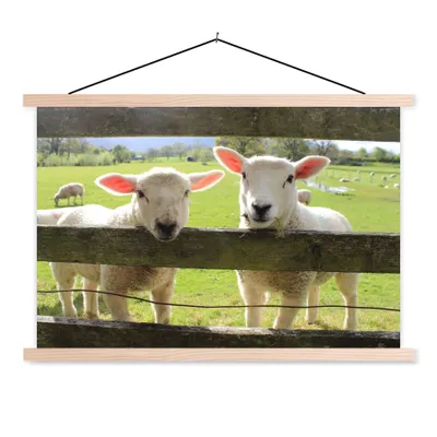 Produktbild von MuchoWow® Textilposter Schafe - Tiere - Bauernhof 120x80 cm mit holzfarbenen Rahmen - Aufhängeset