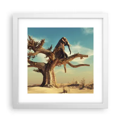 Produktbild von Gerahmtes Poster - Weißer Rahmen - Sitzen Elefant Baum - 30x30 cm - Wand Bild - Wanddeko - Wandbilder - Kunstposter - Wandposter - Bilderrahmen - Bilder - Kunstdruck - Wandbild - P2WAC30x30-4345