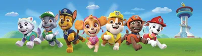 Productafbeelding van Zelfklevende sticker van Paw Patrol - model "Vooruit" - 5 cm x 10 cm