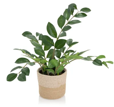 Produktbild von bümö plants Kunstpflanze Glücksfeder (zamie)