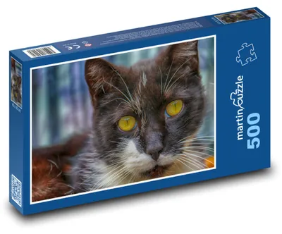 Zdjęcie produktu dla Puzzle 500 Piękny czarno-biały kot - martinpuzzle