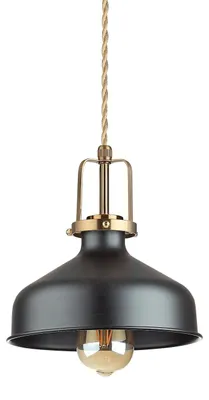 Obrázok produktu pre Závesné svietidlo Industrial-Minimal Eris-2 Metal Black 1 Light E27