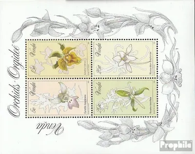 Produktbild von Briefmarken Südafrika - Venda 1981 Mi Block1 (kompl.Ausg.) postfrisch Orchideen