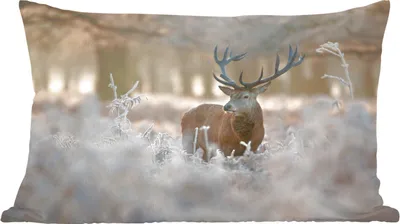 Produktbild von MuchoWow® Zierkissen Sofakissen Wohnzimmer Dekokissen 60x40 cm Hirsche - Tiere - Winter - Kopfkissen - Polster mit Foto
