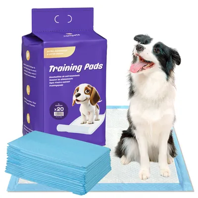 Produktbild von Nanipets® 20 x Absorbierende Trainingsunterlagen Welpenunterlagen, Trainingspads Für Hunde, Super Saugfähig, Pet Pad, Welpen Unterlagen XL 60 * 90 cm